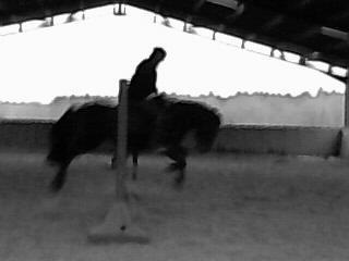 Photo de profil de monite-33