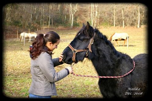 Photo de profil de mydream