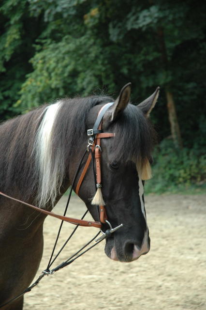 Photo de profil de naomi.jr