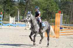 Photo de profil de nikiedu13