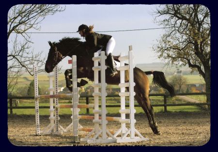 Photo de profil de okapiducharme