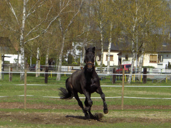 Photo de profil de potirna
