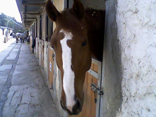 Photo de profil de purgraf8895