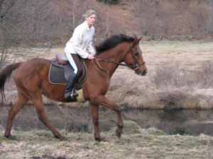 Photo de profil de purusha