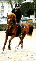 Photo de profil de r4achel-m