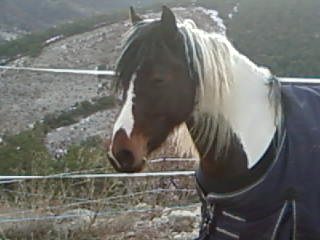 Photo de profil de raphinou