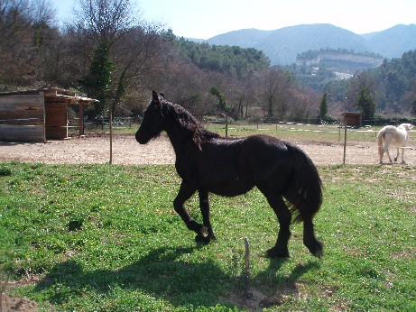 Photo de profil de sacrousty
