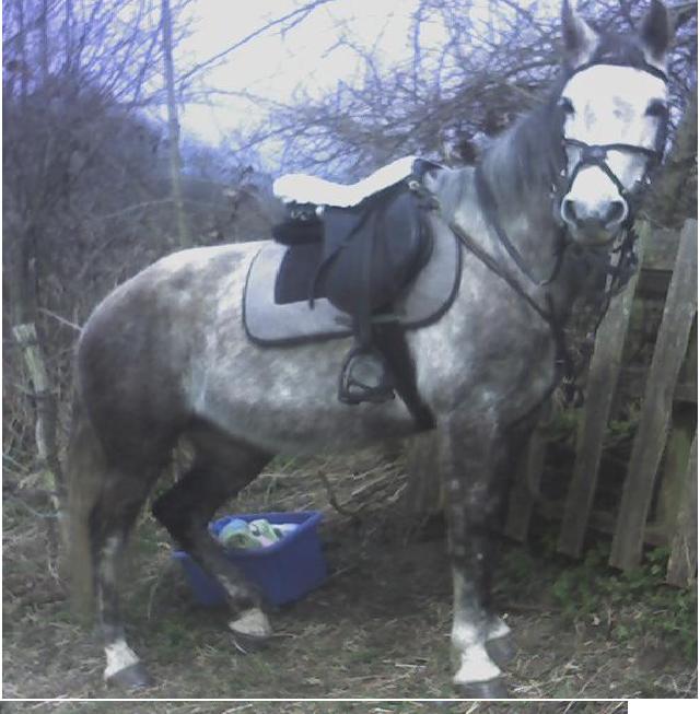 Photo de profil de sand.bert