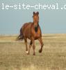 Photo de profil de satine21