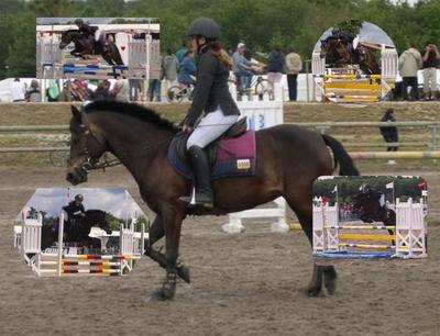 Photo de profil de scrapie76