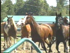 Photo de profil de spetlumkunpico