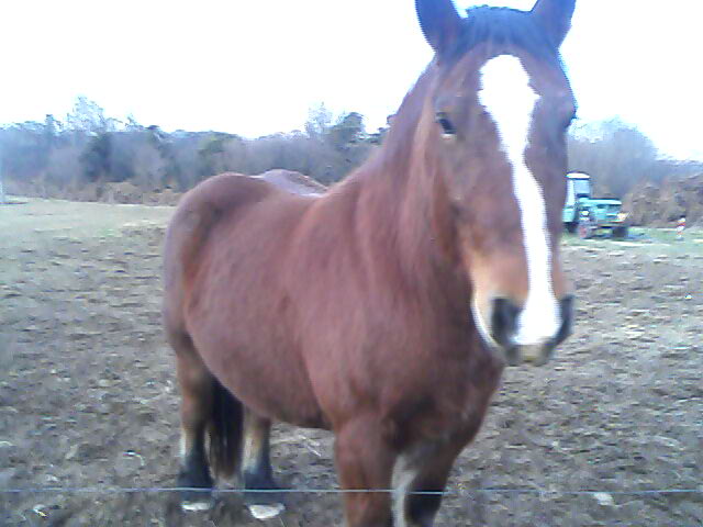 Photo de profil de spirot