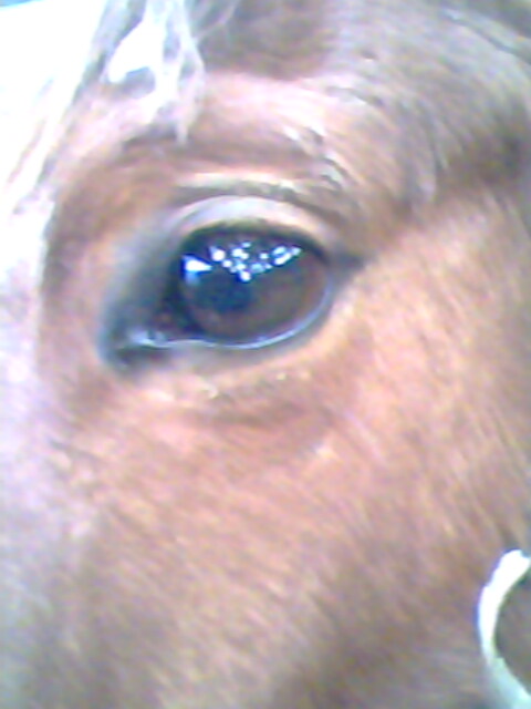 Photo de profil de star-de-beauforge