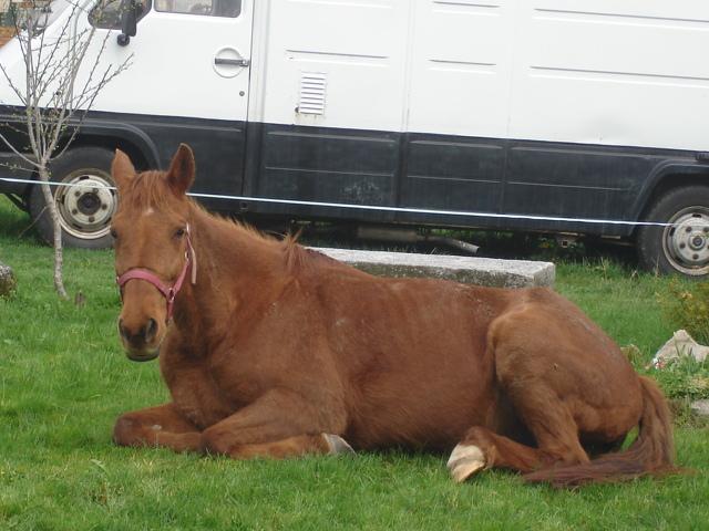 Photo de profil de stelladu24