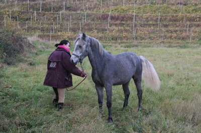 Photo de profil de taccaduhaut