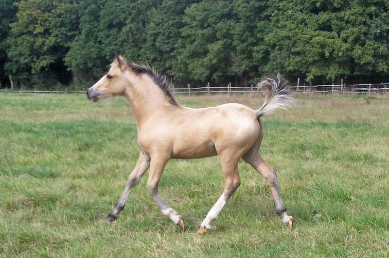 Photo de profil de titiky