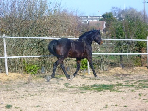 Photo de profil de titinerod