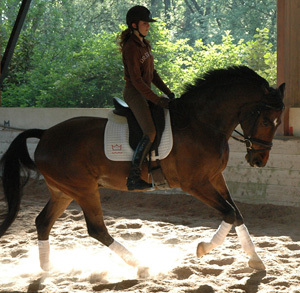 Photo de profil de ushuaia