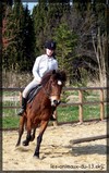 Photo de profil de vickii-cavalier