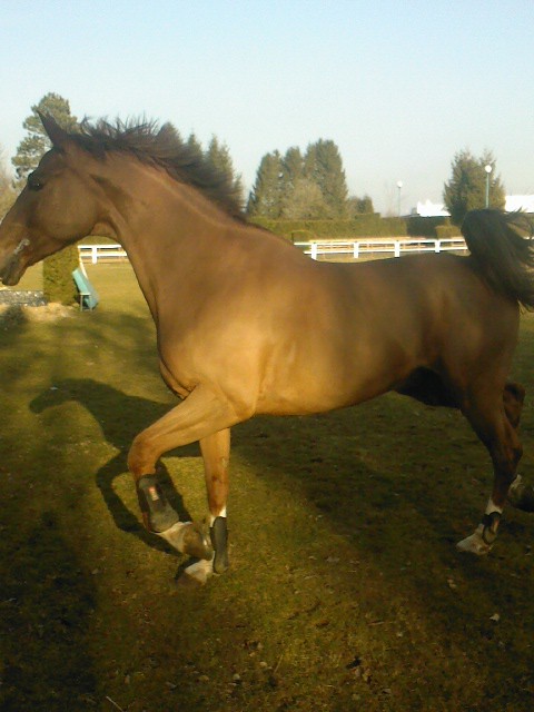 Photo de profil de viomyny