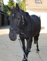 Photo de profil de virginie91