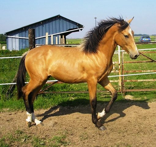 Photo de profil de x-chupa-chups68