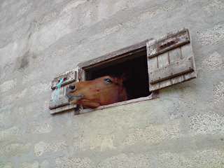 Photo de profil de xalimautra