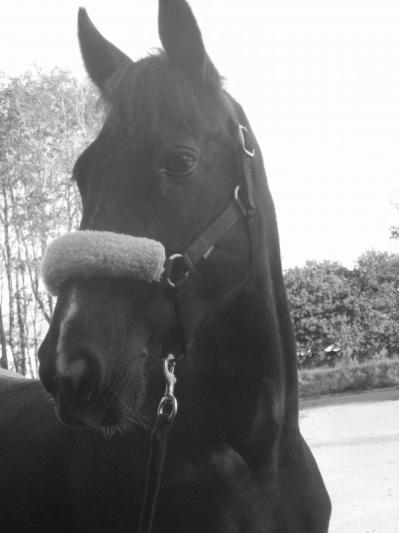 Photo de profil de xxorianexx