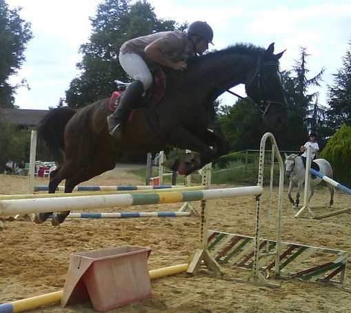 Photo de profil de zadig