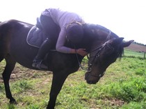 Photo de profil de a-deline