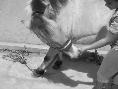 Photo de profil de aimechevaux