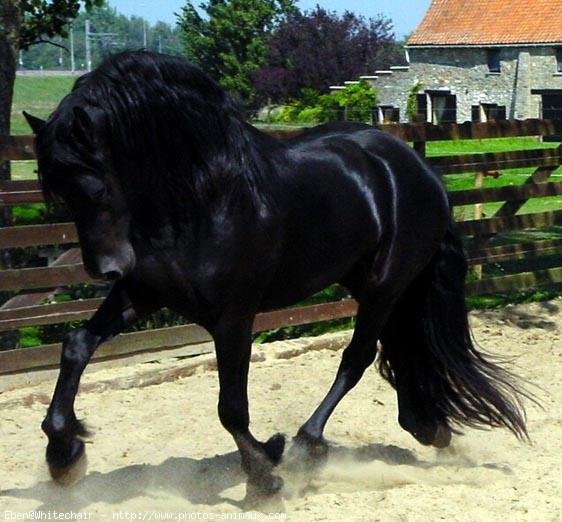 Photo de profil de aladinetmoi11