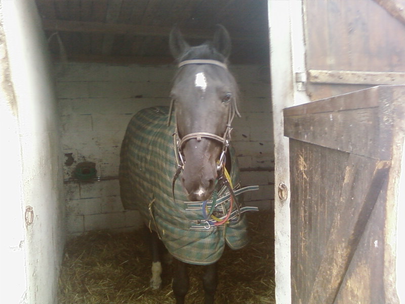 Photo de profil de alexmirage