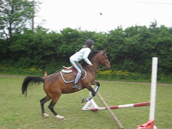 Photo de profil de aliz