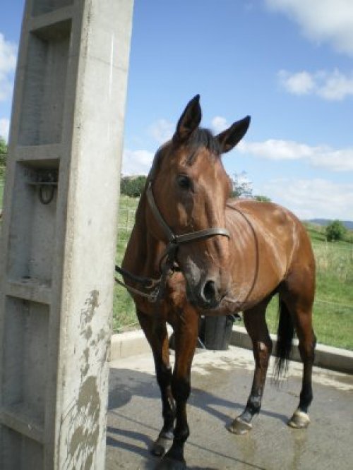 Photo de profil de alyssia42