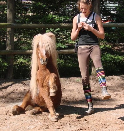 Photo de profil de andy83