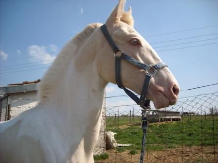 Photo de profil de angye