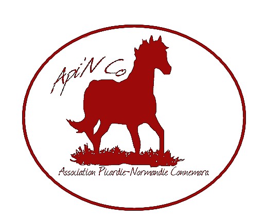 Photo de profil de apinco