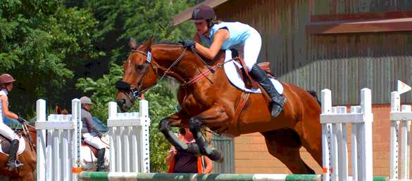 Photo de profil de ariane62