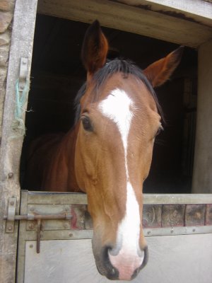 Photo de profil de artistedecour