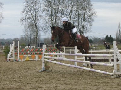 Photo de profil de arwhenn
