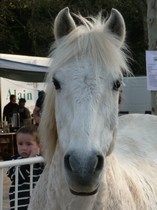 Photo de profil de audrey-ouragan