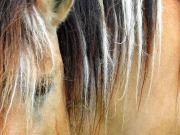Photo de profil de aureliez77