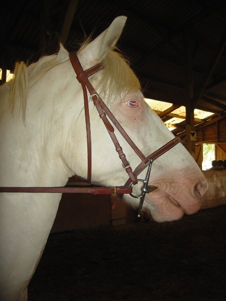 Photo de profil de aurore_59830