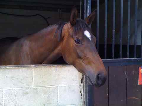 Photo de profil de beatrice002