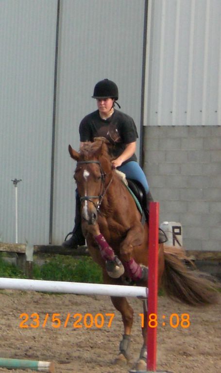 Photo de profil de blandyne