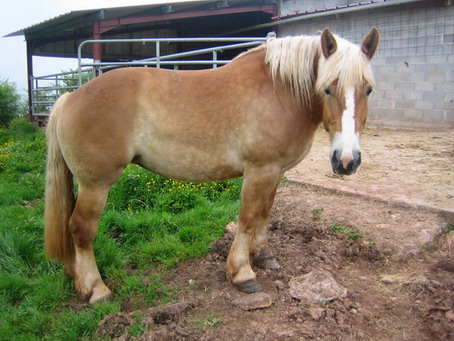 Photo de profil de calim