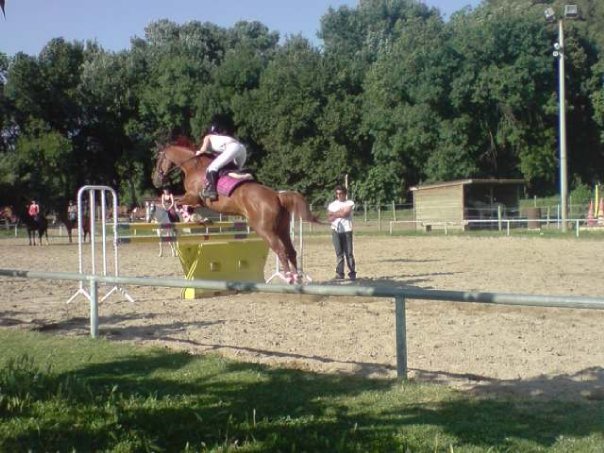 Photo de profil de cam13