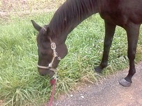 Photo de profil de carolinede