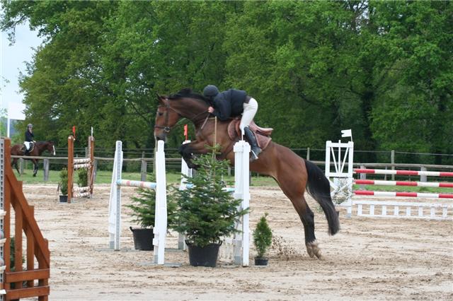 Photo de profil de cecil-p